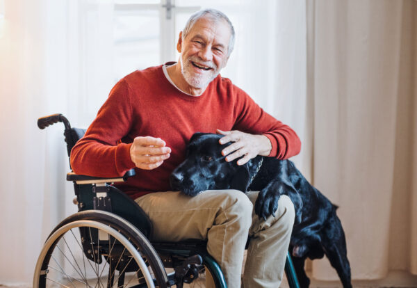 NCC, NDIS and THE SDA